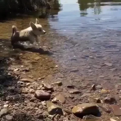 likk - oj, oj, oj kamieniste plaże