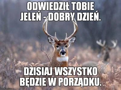 mobutu2 - @tr0llk0nt0: więcej czadu!