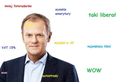 V.....m - #kwejkaledobre #tusk #bekazplatformy #piesel