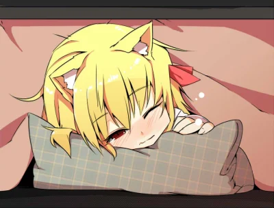 z.....s - #randomanimeshit #touhou #rumia #kemonomimi #neko 
#shamo 
@ayasecon: Cze...