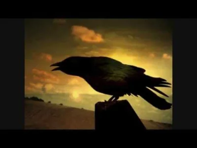 wietnam67 - #songnadzis #scorpions

Song na dziś

Scorpions - Yellow Raven 

Album: V...