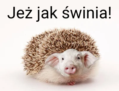 havocki - #gownowpis #tworczoscwlasna #grafika #memy ( ͡° ͜ʖ ͡°)