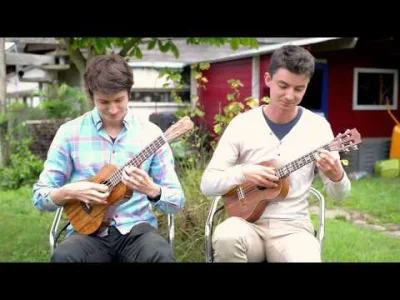 Virino - Poszukuję kogoś do takiego duetu (ʘ‿ʘ)

SPOILER

#muzyka #ukulele
