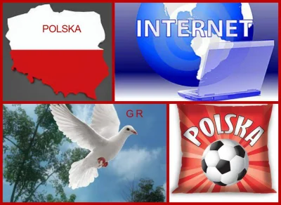 d.....n - #polska #lewandowski #euro2016 #magicznakrainagrazyny

Dziś my wszyscy w ...