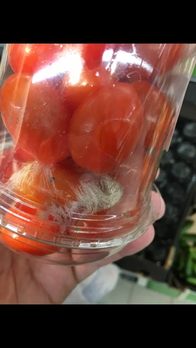 Majozeniarz - @blaazeej: Ja w Aldi pomidory z pajęczyną/pleśnią xD