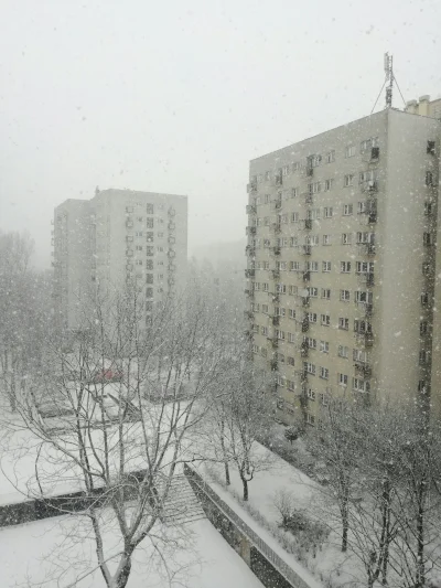 zielony92 - KOD krzyczał "Biała Polska tylko zimą", no to mają teraz intensywne opady...