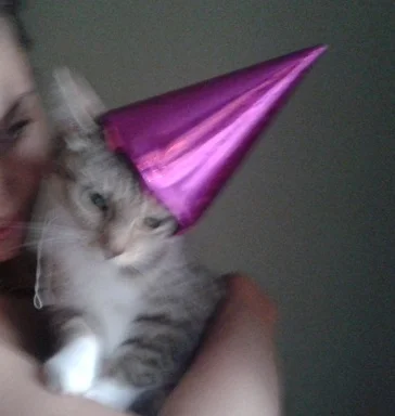 G.....x - @krolka89: kiedyś pytałem w takim sklepie o czapkę urodzinową dla kota. pod...