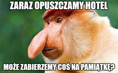Ronix - #polak #heheszki #humorobrazkowy