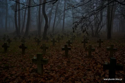 nightmeen - Już kiedyś wrzucałem podobne zdjęcie z cmentarza w Modlinie, ale we mgle ...