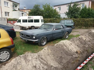 krykoz - Ford Mustang. 

#bydgoszcz #auto #samochody #ford #mustang #klasykimotoryzac...