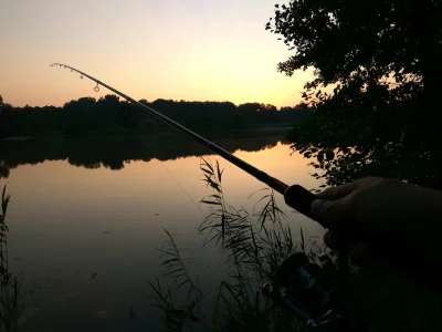 Gopnik - Dzień dobry Mirki! :) miłego i spokojnego dnia wam życzę! 
#wedkarstwo #pozn...