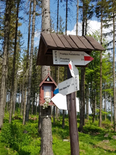 szary-obywatel - Co tam jakieś Tatry, zdobyłem z różową Kubalonkę ( ͡º ͜ʖ͡º). Zdążyli...