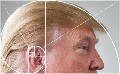 Mesk - Złota proporcja ( ͡° ͜ʖ ͡°) #trump #fibonacciboners #humorobrazkowy #heheszki ...