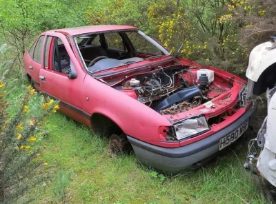 k.....s - #vauxhall Cavalier #porzuconesamochody #wrosty

#motoknifers