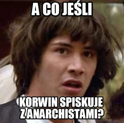 micza - #humorobrazkowy #memy #polityka #korwin #korwincontent #anarchisci
