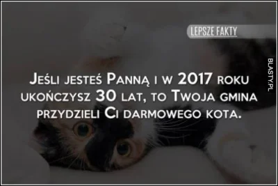 WesolekRomek - #koty #rozowepaski #gmina #polityka #heheszki #dobrazmiana