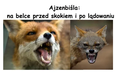 Z.....s - Co ten Ajzenbiśla
#heheszki 
#pdk 
#skoki