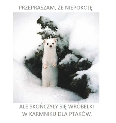 konwik - #zwierzaczki #heheszki #smieszne @GraveDigger:

Moja wersja