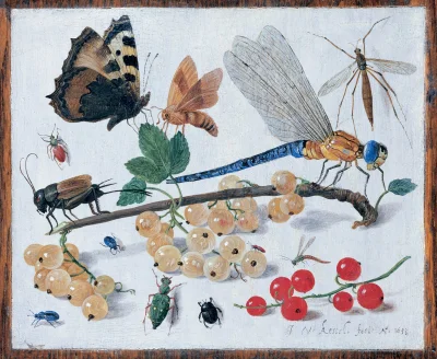 myrmekochoria - Jan van Kessel Starszy "Insekty" 1653 rok

Wiki: https://pl.wikiped...