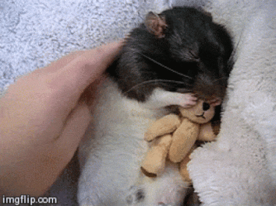 sinusik - @sinusik: Tylko jeszcze poproszę do snu( ͡° ͜ʖ ͡°)