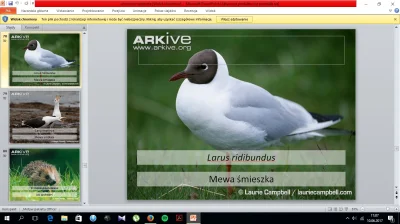 Kebren - taka tam śmieszka (✌ ﾟ ∀ ﾟ)☞
#smiesznypiesek #heheszki