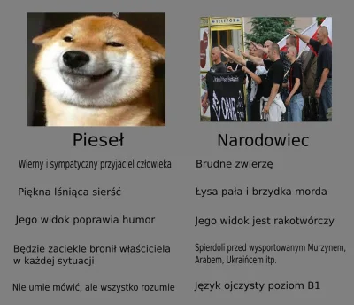 wojujacylewak - #bekazpodludzi #neuropa