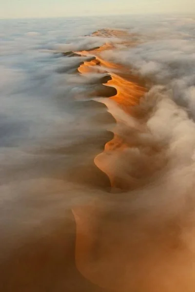 misja_ratunkowa - mgła nad pustynią Namib
(autor: Hugh Pearson, BBC)

#earthporn #...