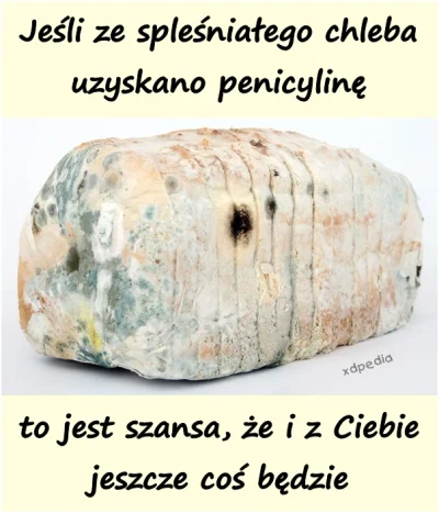 czokowafelek