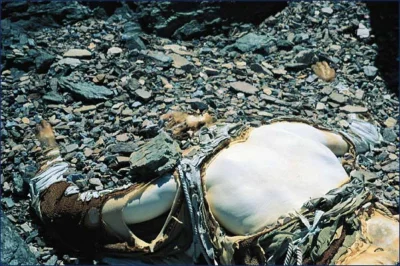 siwymaka - Odnalezienie ciała Georga Mallory’ego - czy był pierwszym człowiekiem, któ...