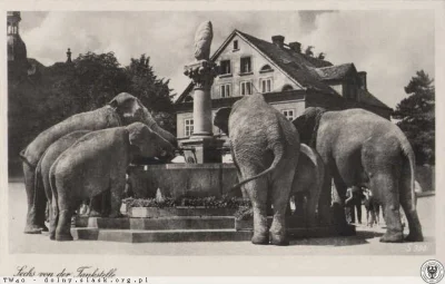 wszystko_pozajmowane - Sześć słoni przy fontannie w bielawskim rynku. 
Zdjęcia z 194...