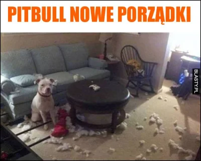 zdzisiunio