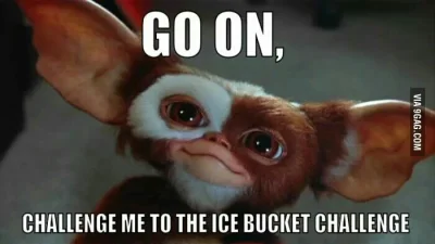 weeman - #gimbynieznajo #icebucketchallenge
