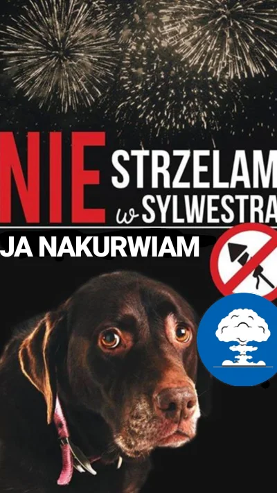 namzio - nie strzelam w sylwestra
#heheszki 
wlasne