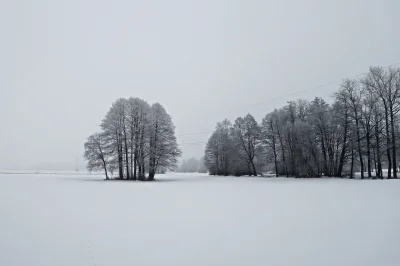 kopek - 25/365 Śnieżna biel

FB 

#fotografia #tworczoscwlasna #mojezdjecie #cano...