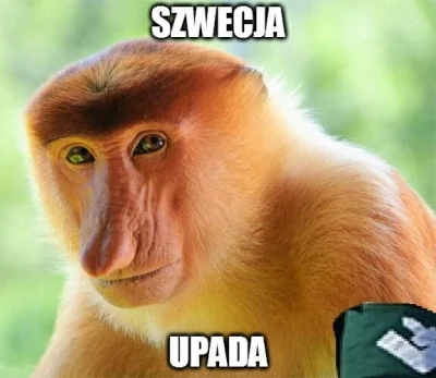 KiraQueen - @KiraQueen: Szwecja upada dzień 2137 ( ͡°( ͡° ͜ʖ( ͡° ͜ʖ ͡°)ʖ ͡°) ͡°)