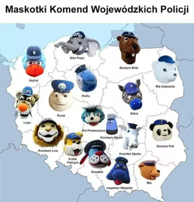 T.....u - Co ta policja xD
#policja #humorobrazkowy #polska #mapy #heheszki