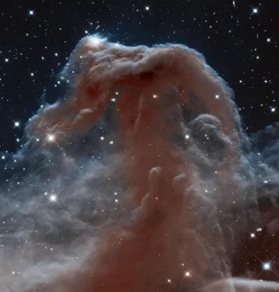 s.....w - Mgławica Koński Łeb widziana w podczerwieni z Kosmicznego Teleskopu Hubble'...