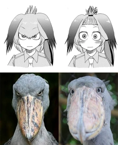 t.....t - #randomanimeshit #kemonofriends #shoebill #kemonomimi
#