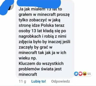 Lutniczek - #heheszki #minecraft