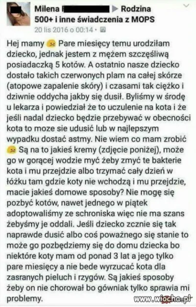 b.....8 - #dziendobry #patologiazewsi #koty #karyna