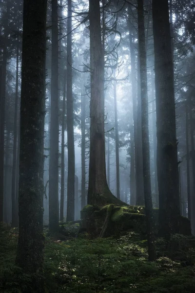 Lunaotic - Tutaj wolałabym być w święta (╥﹏╥)
#tapetyluny #earthporn #fotografia