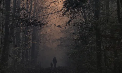 WUJEKprzezUzamkniete - korzystając z porannego gliwickiego smogu postanowiłem odśwież...