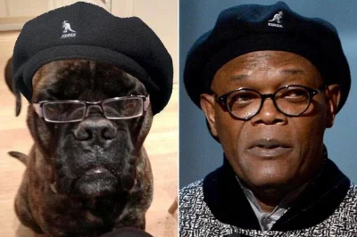 cielo - #humor #humorobrazkowy #heheszki #samuelljackson