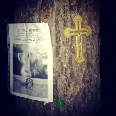 hatifnat - #krzyz i #pies na drzewie.