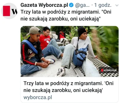 M1r14mSh4d3 - W końcu, po latach, gazeta wyborcza przyznała o co chodzi z tymi imigra...