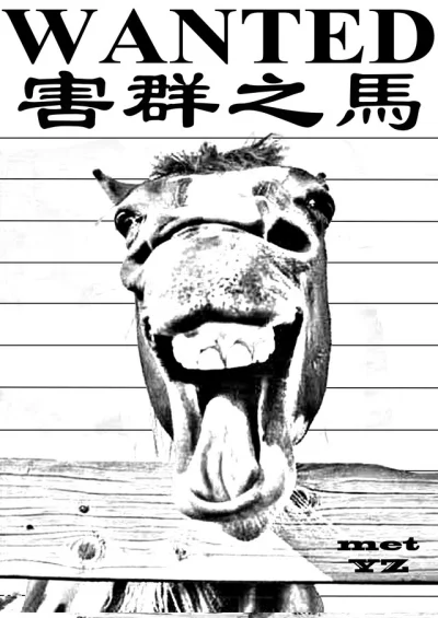 zpue - Idiom: Koń, który psuje całe stado (害群之馬)

Chłopiec patrzył przez chwilę na ...