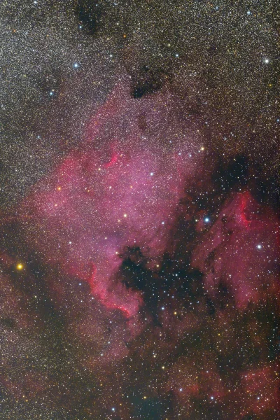 namrab - NGC 7000, czyli mgławica Ameryka Północna.
Sprzęt: iOptron CEM25P, Nikon D8...