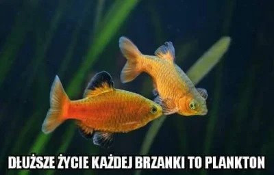 arsaya - kocham i szanuję zapisz obrazek jako ahgsfds xddddddddd
#humorobrazkowy #he...