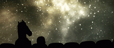 janushek - #bojackhorseman to (╥﹏╥) mistrzostwo.
#seriale #netflix