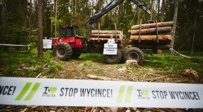 xandra - 1. Puszcze Białowieską wycinają, bo korniki. 
2. Ekolodzy protestują. 
3. ...